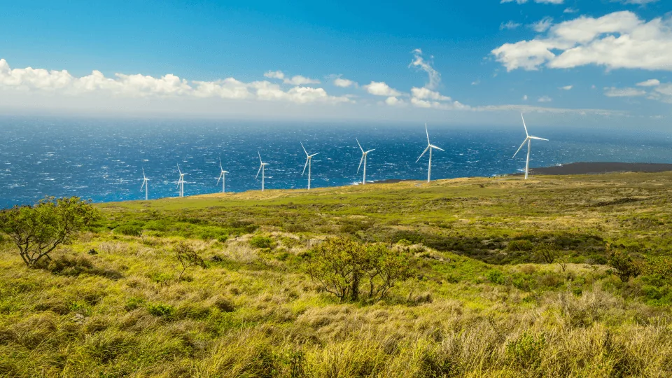 Tulipan helps utilities design and implement creative financing to add grid capacity and improve reliability and resilience.